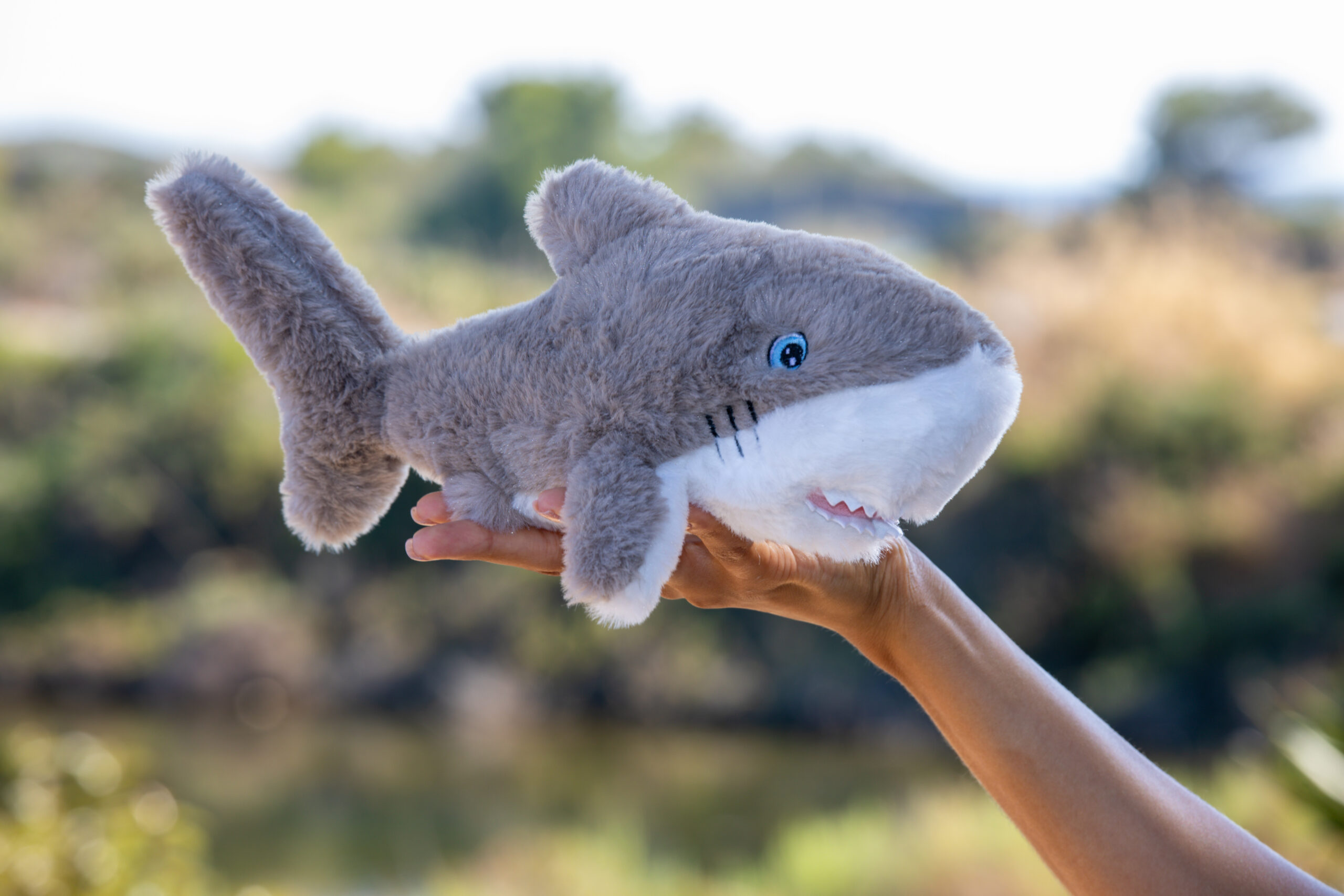Peluche Requin
