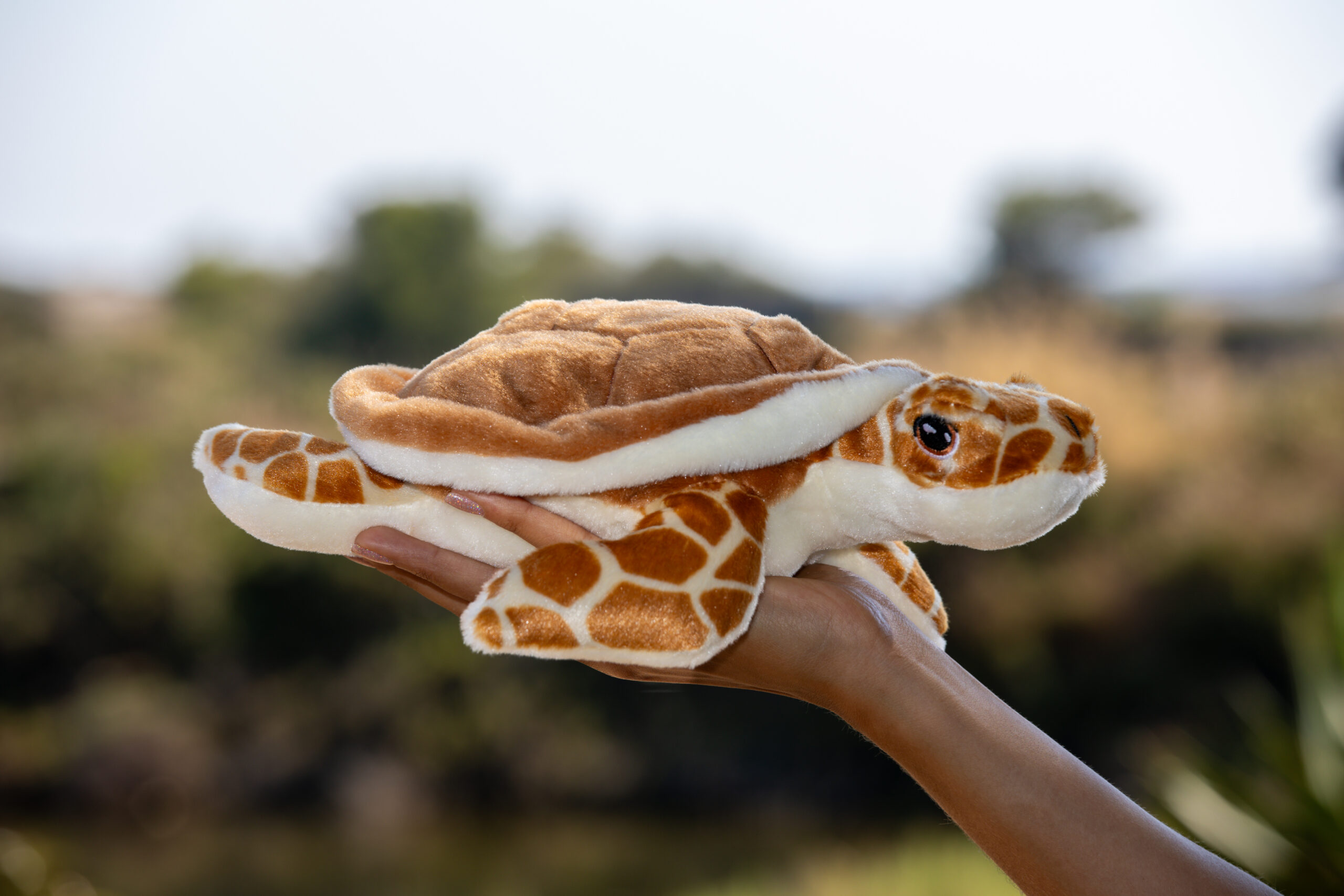 Peluche Tortue brune